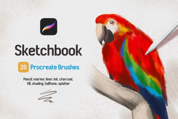 Skillful Line Work: Evaluating the Sketchbook Procreate Brushes Collection
