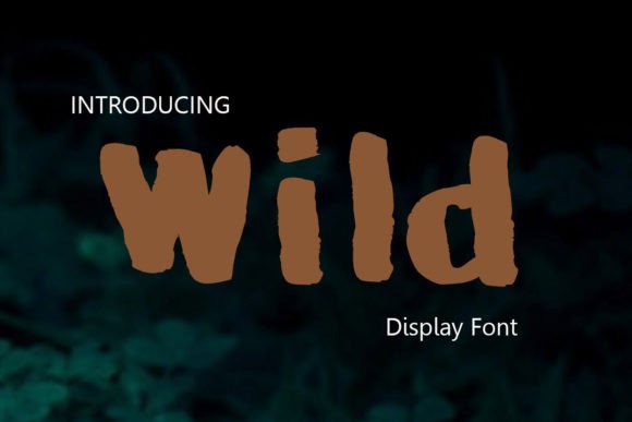 Wild: A Brushed Display Font for Bold Creative Workflows